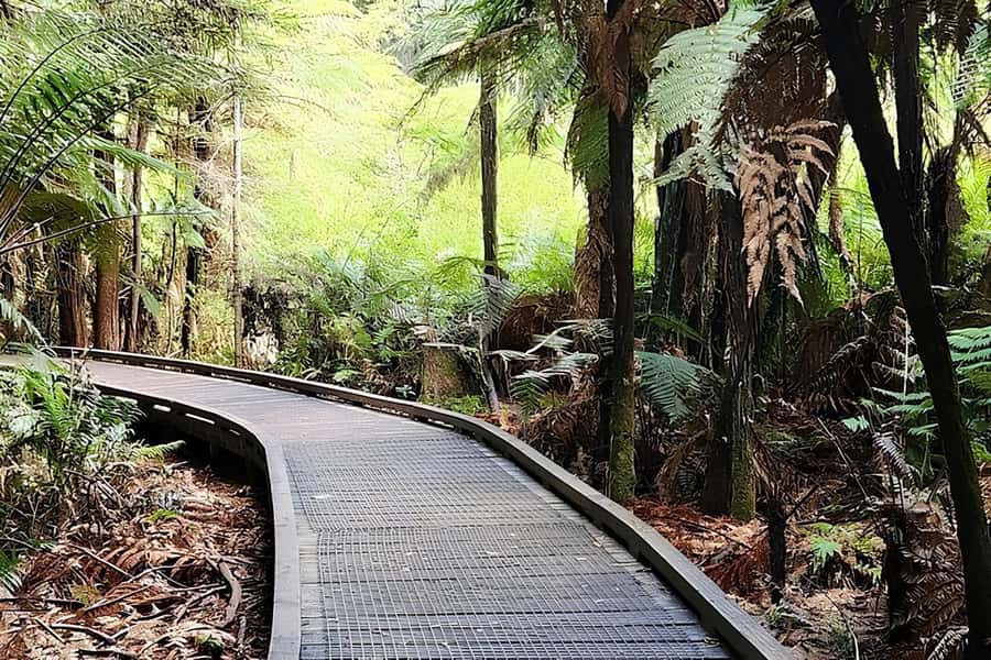 Private Hobbiton & BlueSprings & Redwood forest fromAuckland - Who this tour is best for (and who should skip it)