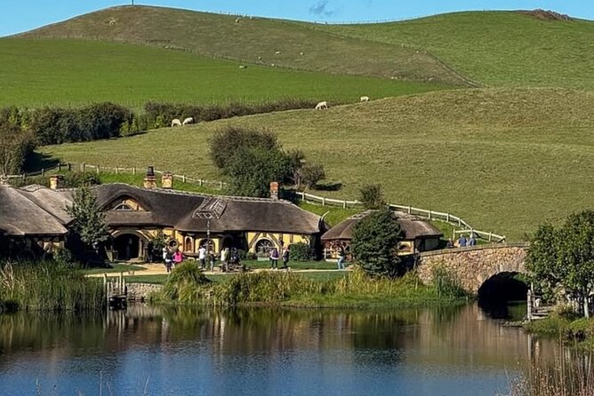 Private Hobbiton Movie Set and Rotorua Day Trip from Auckland - Te Puia: Māori culture and kiwi sanctuary in one visit