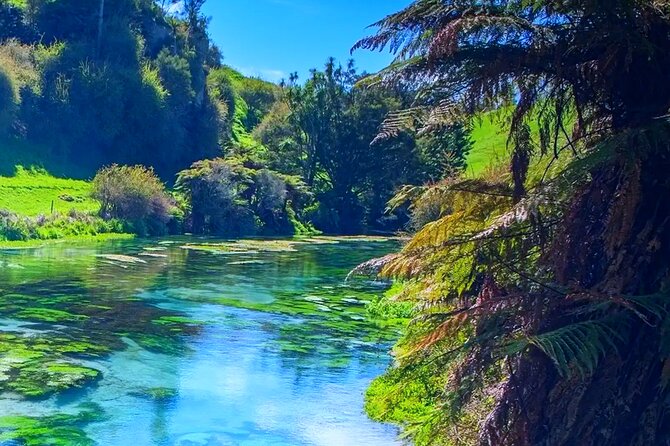 Private Hobbiton, Waitomo Caves, Blue Spring & Hamilton Transfer - Waitomo Glowworm Caves: A Guided Cave Tour with the Best Timing