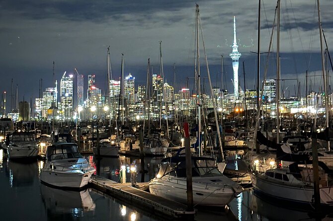 Private Night Tour of Auckland, Sky Tower Bar, Bridge & Museum - Price and logistics: does $399 per person make sense?