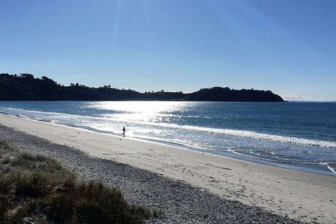 Private Personalised Tour in Waiheke Island - How your custom day on Waiheke usually comes together