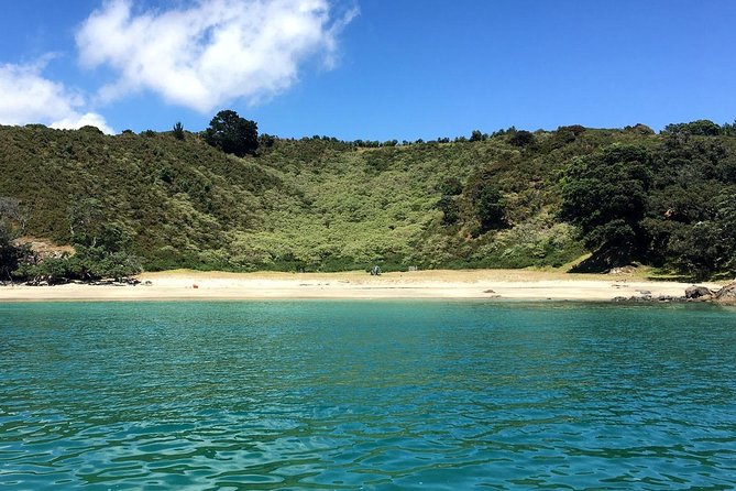 Private Personalised Tour in Waiheke Island - Lunch included: why that one detail matters