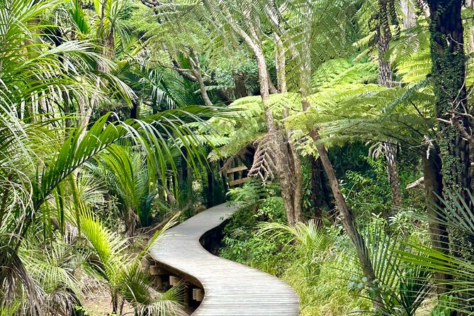 Private Piha Beach, Rainforest Adventure & Mt. Eden with Guide - Mercer Bay Loop: cliff-top sea views that feel bigger than they look on a map