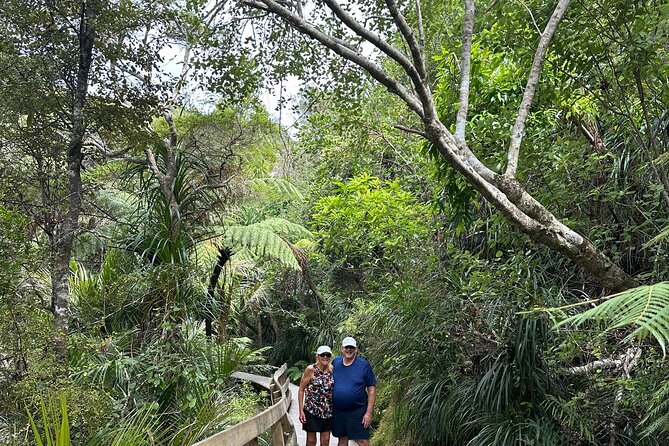 Private Piha Beach, Rainforest Adventure & Mt. Eden with Guide - Mount Eden (Maungawhau): the crater viewpoint with 360-degree city drama