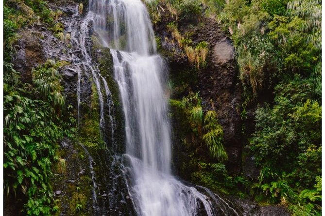 Private Piha Beach, Rainforest Adventure & Mt. Eden with Guide - Piha Beach: black sand, powerful waves, and Lion Rock