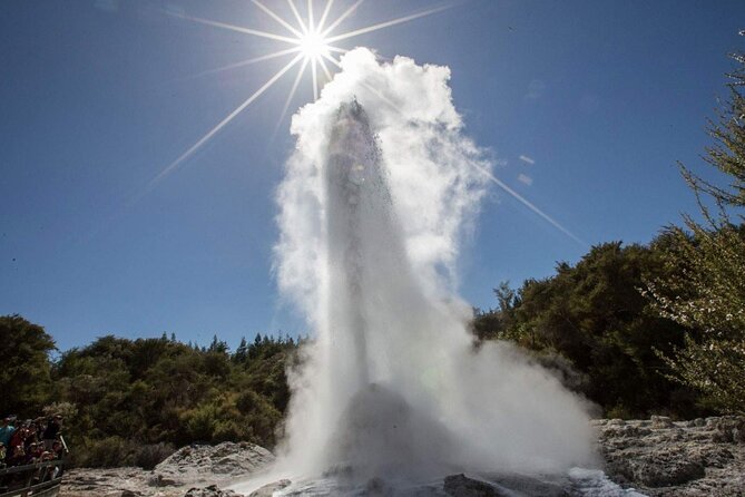 Private Tour [2 Days]: Auckland to Waitomo Caves, Rotorua, Te Puia & Wai-O-Tapu - Te Puia geothermal valley: Pohutu geyser, mud pools, and Māori hangi culture