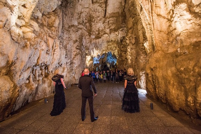 Private Tour [2 Days]: Auckland to Waitomo Caves, Rotorua, Te Puia & Wai-O-Tapu - Price and value: what you’re really buying