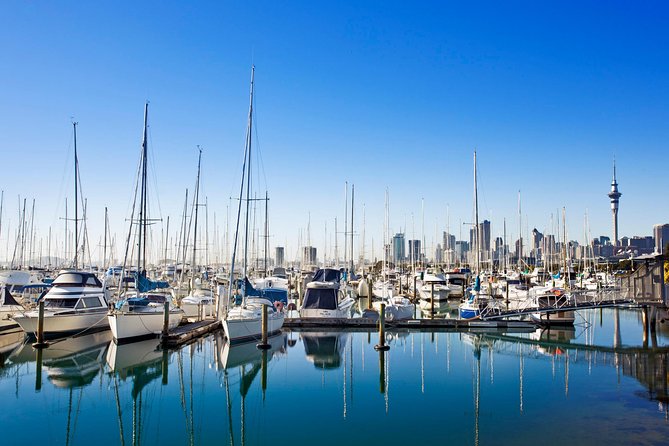 Private Tour: Auckland City and Countryside Tour - MJ Savage Memorial Park: Harbour Views with a Story Attached