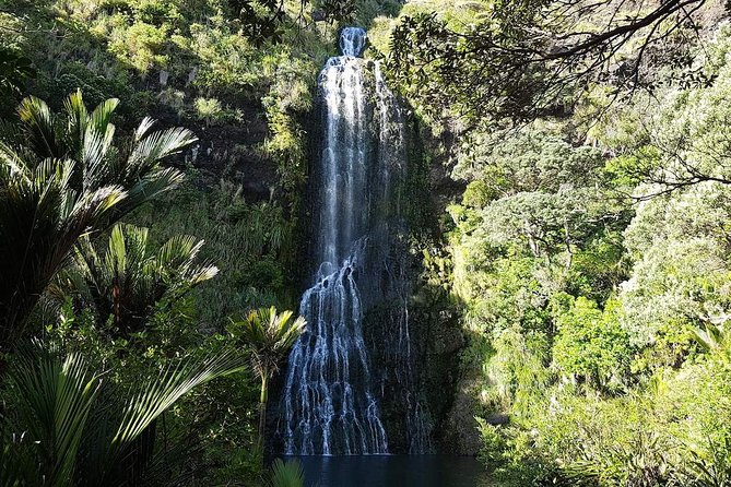 Private Tour: Auckland City and Countryside Tour - Mount Eden Walk: Volcano Views You Can Actually Walk To