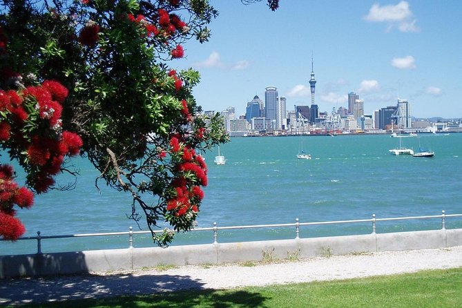 Private Tour: Auckland City and Countryside Tour - The Waterfall and Rainforest-Feel Stops: When the Countryside Breaks In