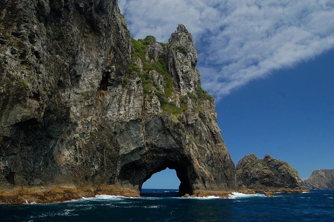 Private Tour: Bay of Islands Day Trip from Auckland - A 10-hour Bay of Islands day trip that starts with the drive