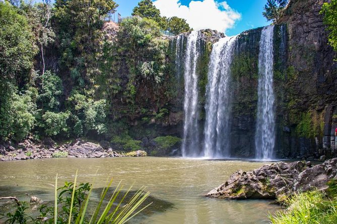 Private Tour: Bay of Islands Day Trip from Auckland - Price and value: where $578.99 per person can feel fair or not