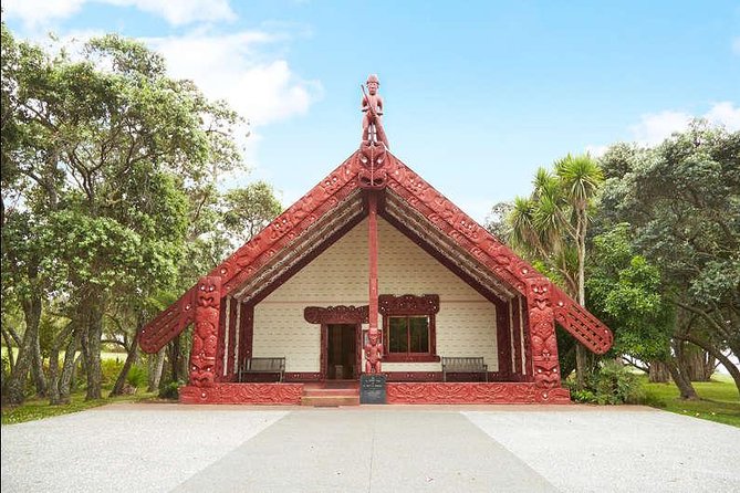 Private Tour: Bay of Islands Day Trip from Auckland - Parry Kauri Park: a short stop with giant-tree impact