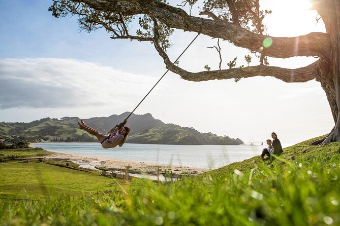 Private Tour - Coromandel Beach, Caves & Forest - From Auckland: a private Coromandel day that starts early