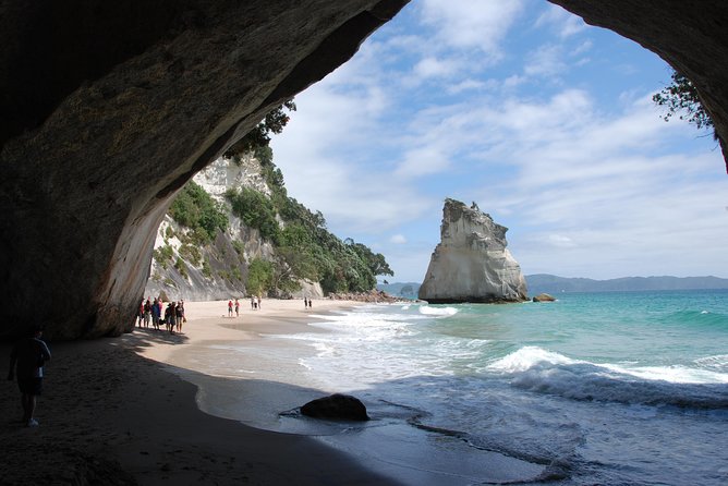 Private Tour - Coromandel Beach, Caves & Forest - Private transport, WiFi, and lunch: what a Mercedes day buys you