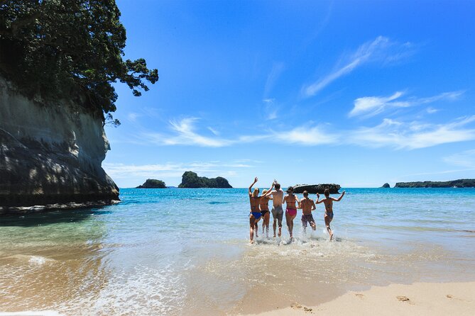 Private Tour - Coromandel Beach, Caves & Forest - Price and value: is $589.54 per person worth it?