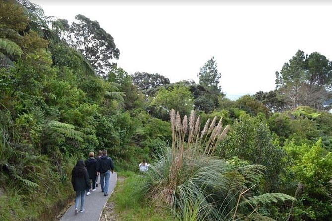 Private Tour - Coromandel Beach, Caves & Forest - Timing and weather: how to plan for the Coromandel reality