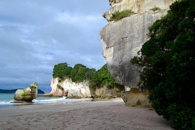 Private Tour - Coromandel Beach, Caves & Forest - Optional upgrades: charter boat, seaplane, or helicopter
