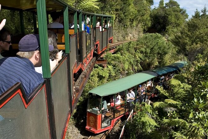 Private Tour - Coromandel Beach, Caves & Forest - Cathedral Cove by boat: sea caves and the Narnia factor