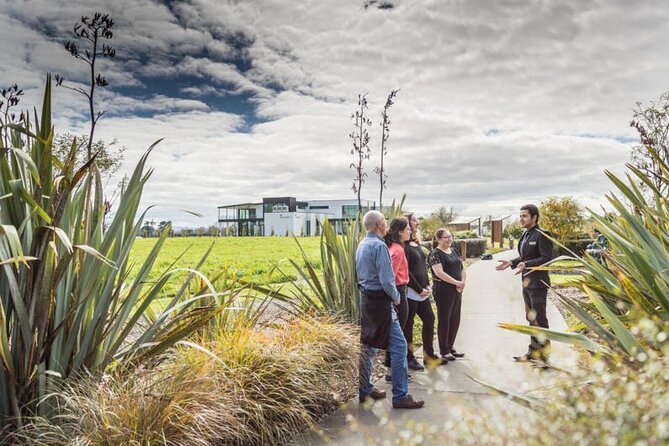 Private tour from Auckland - Waitomo Glowworm Caves, Zealong Tea & Kiwi Bird - Key things I’d circle before booking