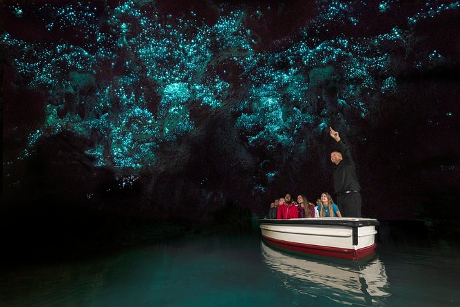 Private tour from Auckland - Waitomo Glowworm Caves, Zealong Tea & Kiwi Bird - Otorohanga Kiwi House: the best way to see kiwis on your schedule
