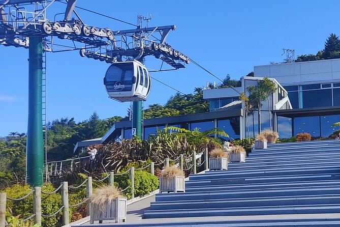 Private Tour: Hobbiton Movie Set, Rotorua Mud Pool & Treewalk - Hell’s Gate geothermal reserve and mud spa: old tradition meets sulfur reality