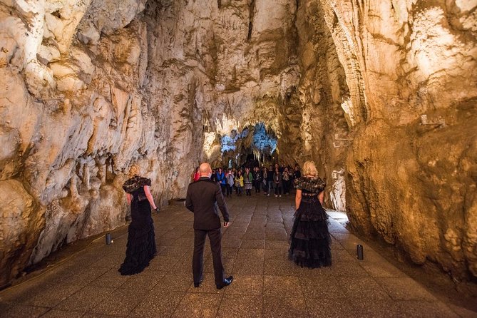 Private Tour: Hobbiton & Waitomo Glowworm Cave Experience - Waitomo Glowworm Caves: the silent boat ride and cave acoustics