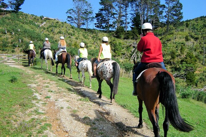 Private Tour - Horse Riding, Wine Tasting and Art Trail - An Auckland art trail: mixing countryside time with creative stops