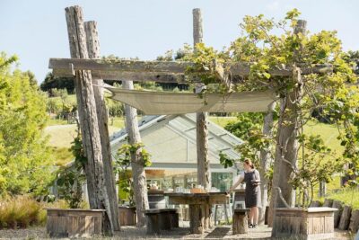 Private tour - Matakana Art & Wine Village - Sculptureum: the art park that lets you slow down