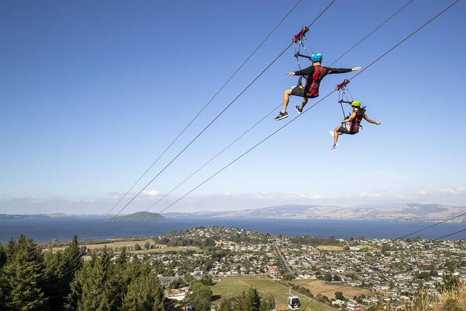 Private Tour - Rotorua Adventures Day Trip From Auckland - Getting there from Auckland: the long day, handled with comfort