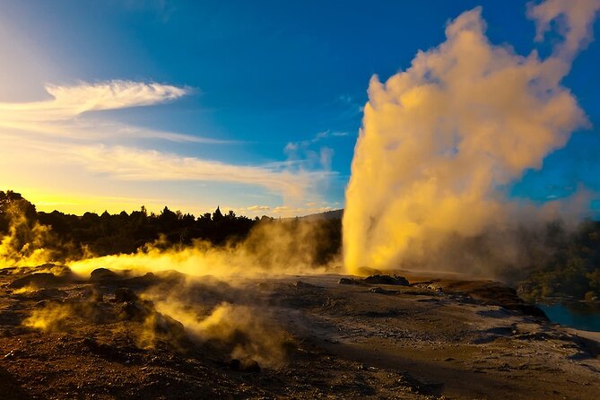 Private Tour - Rotorua Adventures Day Trip From Auckland - Lunch, snacks, and tickets: where the value shows up