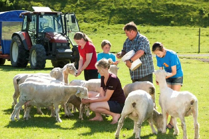 Private Tour - Rotorua Adventures Day Trip From Auckland - Agrodome Kiwi Farm: what you’ll do with your time there