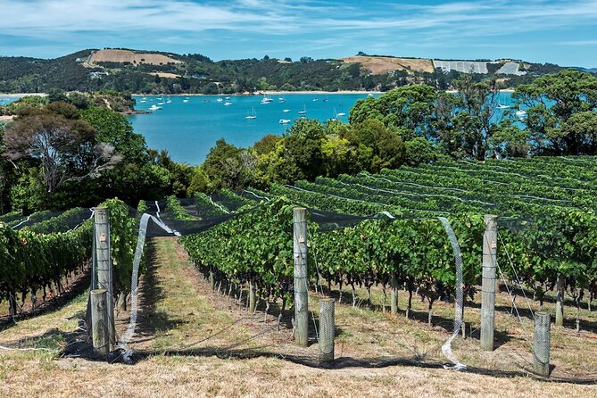 Private Tour - Waiheke Island Luxury Experience - Winery time with a local guide: tasting that feels intentional