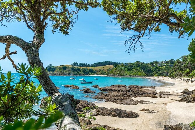 Private Tour - Waiheke Island Luxury Experience - Beach picnic lunch: the reset that makes it feel luxurious