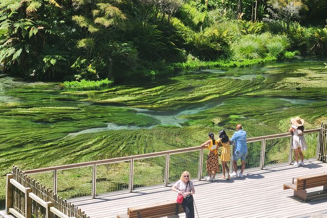Private Tour WaiOtapu & Huka Falls & Blue springs from Auckland - Key things to know before you go