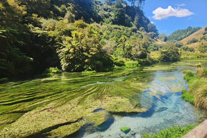 Private Tour WaiOtapu & Huka Falls & Blue springs from Auckland - Price and logistics: what you’re really paying for