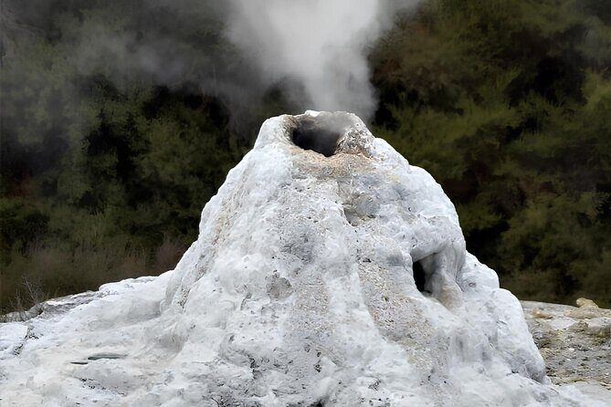 Private Tour WaiOtapu & Huka Falls & Blue springs from Auckland - Lady Knox Geyser: the quick geothermal hit