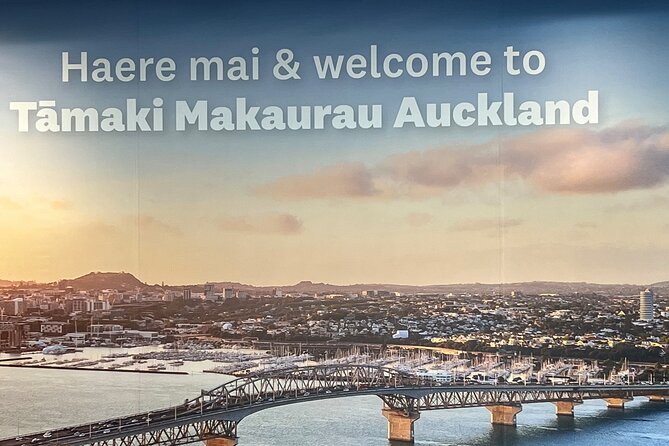 Private Transfer From Auckland Airport To Rotorua - Who This Private Auckland-to-Rotorua Transfer Fits Best