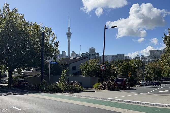 Private Transfer From Auckland City To Auckland Airport - Who should book this transfer (and who might not)