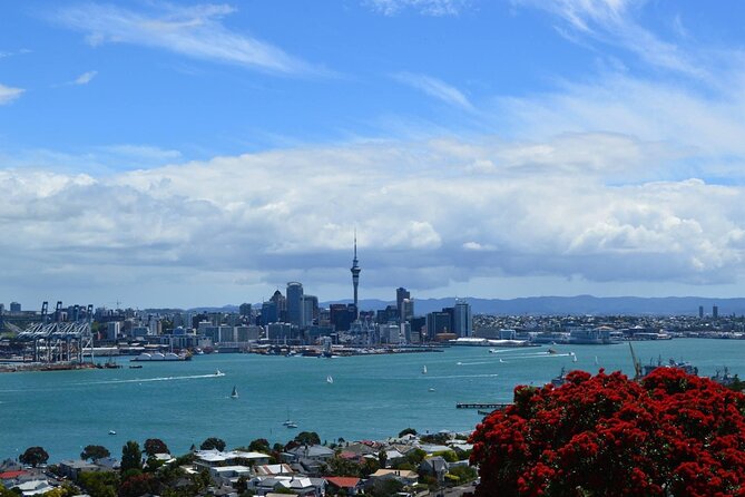 Private Transfer From Auckland International Airport To Auckland City - Comfort and Luggage: What Private Actually Means