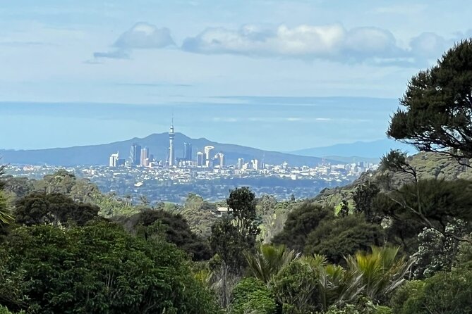 Private Transfer From Auckland International Airport To Auckland City - Practical Arrival Tips So the Pickup Goes Smooth