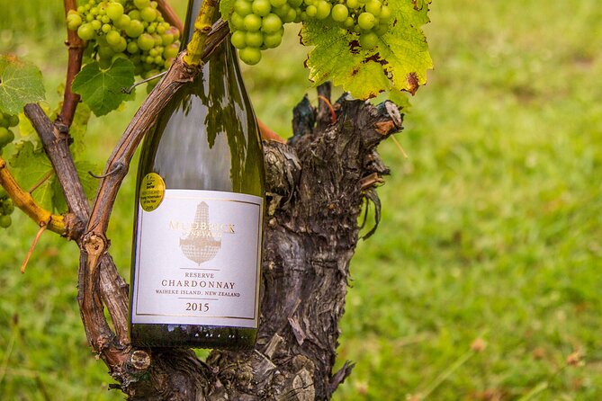 Private Vineyard Bush Walk Tour in Waiheke Island - Rolling hills, valleys, vineyards, and the sea: your mid-day scenery sweep