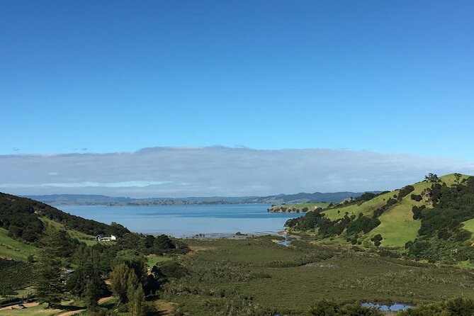Private Vineyard Bush Walk Tour in Waiheke Island - Wine tasting at two of Waiheke’s best-loved wineries