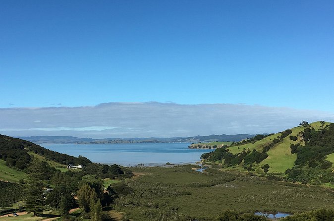 Private Vineyard Bush Walk Tour in Waiheke Island - Guides really shape the experience (Renee, Dell, Justine, Cindy, Barbara)