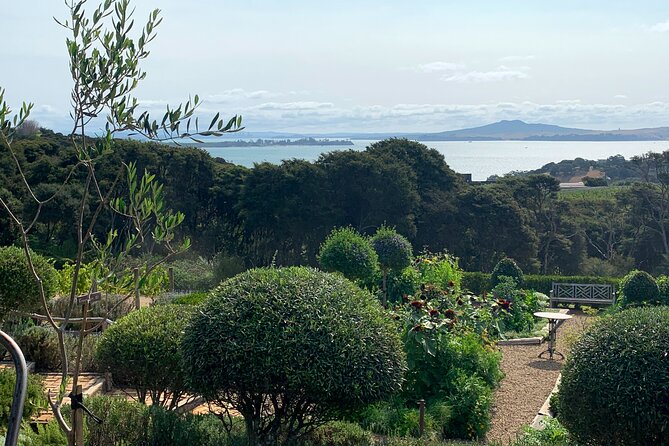Private Vineyard Bush Walk Tour in Waiheke Island - How hard is it really? Walking comfort and what to pack