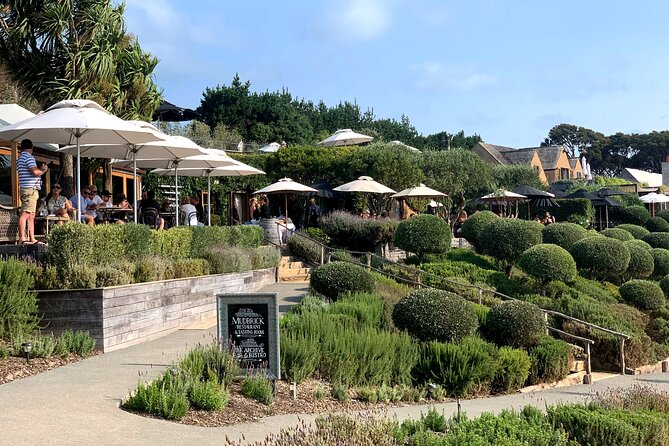 Private Vineyard Bush Walk Tour in Waiheke Island - From restored bush to headlands: the view payoff you can plan for