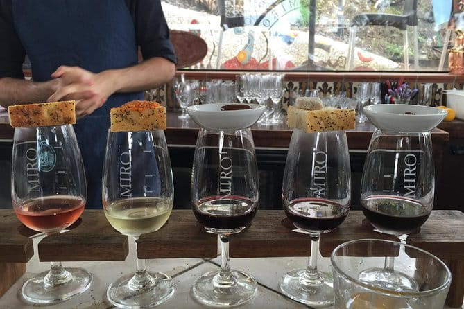 Private Waiheke Food & Wine Tour - Allpress Olive Groves: award-winning olive oil with a short, focused stop (Stop 3)