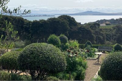 Private Waiheke Food & Wine Tour - Mudbrick Vineyard and the wine lunch that anchors the day (Stop 2)