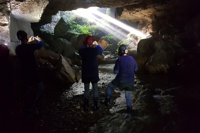 Private Waitomo Glowworm Cave Tours - A private glowworm tour that avoids the crowd energy
