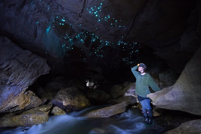 Private Waitomo Glowworm Cave Tours - Glowworms, but with space to see them well